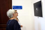 Inauguraci: divendres, 6 d'octubre de 2017, a l'edifici Sa Riera, c/ de Miquel dels Sants Oliver, 2, Palma  