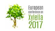 xylella.jpg