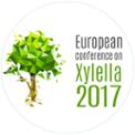 web_xylella.jpg