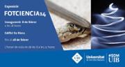 470911_tv_fotciencia.jpg