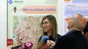 Foto: UIB