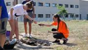 26/06/2018 Histria: Arquedrom, arquelegs per un dia - Foto: A.COSTA (UIB)