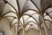 27/06/2018 Histria de l'Art: La Llotja: visita a la joia de l'arquitectura gtica civil - Foto: A.COSTA (UIB) 