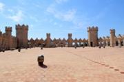 27/06/2018 Histria de l'Art: La Llotja: visita a la joia de l'arquitectura gtica civil - Foto: A.COSTA (UIB) 