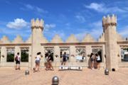 27/06/2018 Histria de l'Art: La Llotja: visita a la joia de l'arquitectura gtica civil - Foto: A.COSTA (UIB) 