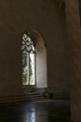 27/06/2018 Histria de l'Art: La Llotja: visita a la joia de l'arquitectura gtica civil - Foto: A.COSTA (UIB) 