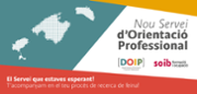doip.png