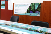 20/11/2018 Prvia al congrs SIPS: Present i futur dels reptes de les intervencions per l'enfortiment de la famlia al voltant del mn - Foto: A.Costa (UIB)