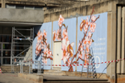 07/12/2018 Mural de Carles Garcia a l'edifici Ramon Llull (CD2)- Foto: A.Costa/UIB