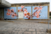 10/12/2018 Mural de Carles Garcia a l'edifici Ramon Llull (CD2)- Foto: A.Costa/UIB