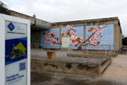 10/12/2018 Mural de Carles Garcia a l'edifici Ramon Llull (CD2)- Foto: A.Costa/UIB