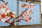 10/12/2018 Mural de Carles Garcia a l'edifici Ramon Llull (CD2)- Foto: A.Costa/UIB
