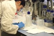 Laboratori d'Investigaci en Litiasi Renal de la UIB - Foto:A.Costa/UIB