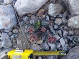 510569_individu-florit.jpg.png
