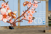 14/02/2019 Mural de Carles Garcia a l'edifici Ramon Llull (CD2)- Foto: A.Costa/UIB