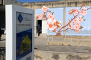 14/02/2019 Mural de Carles Garcia a l'edifici Ramon Llull (CD2)- Foto: A.Costa/UIB