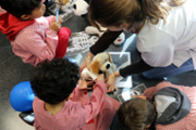 Un hospital per als ossos de peluix de les criatures - Foto: A.COSTA/UIB