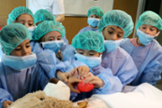 Un hospital per als ossos de peluix de les criatures - Foto: A.COSTA/UIB