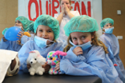 Un hospital per als ossos de peluix de les criatures - Foto: A.COSTA/UIB