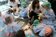 Un hospital per als ossos de peluix de les criatures - Foto: A.COSTA/UIB
