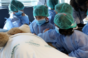 Un hospital per als ossos de peluix de les criatures - Foto: A.COSTA/UIB