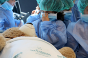 Un hospital per als ossos de peluix de les criatures - Foto: A.COSTA/UIB