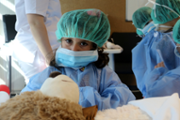 Un hospital per als ossos de peluix de les criatures - Foto: A.COSTA/UIB