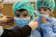 Un hospital per als ossos de peluix de les criatures - Foto: A.COSTA/UIB