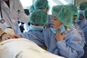 Un hospital per als ossos de peluix de les criatures - Foto: A.COSTA/UIB