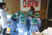 Un hospital per als ossos de peluix de les criatures - Foto: A.COSTA/UIB