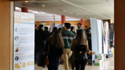 Job Day UIB: un dia d'enlla entre universitaris i empreses - Foto: A.COSTA/UIB