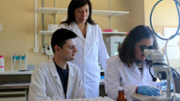 La primera detecci d'un cuc parsit atpic en els erions de les Illes Balears - Foto: A.COSTA/UIB