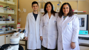 La primera detecci d'un cuc parsit atpic en els erions de les Illes Balears - Foto: A.COSTA/UIB