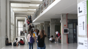 Proves de batxillerat per a l'accs a la Universitat (PBAU) de la convocatria de juny de 2019 - Foto: A.COSTA/UIB