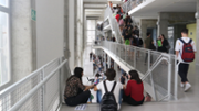 Proves de batxillerat per a l'accs a la Universitat (PBAU) de la convocatria de juny de 2019 - Foto: A.COSTA/UIB