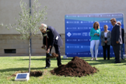 Plantada d'arbre als jardins de Son Lled- Foto: A.Costa/UIB
