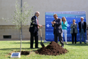 Plantada d'arbre als jardins de Son Lled- Foto: A.Costa/UIB