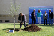 Plantada d'arbre als jardins de Son Lled- Foto: A.Costa/UIB