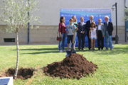 Plantada d'arbre als jardins de Son Lled- Foto: A.Costa/UIB