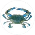 web_cranc-blau.jpg