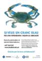 cranc-blau.jpg