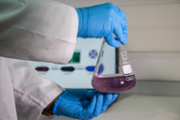 Nous materials hbrids per extreure contaminants - Foto: A.COSTA/UIB