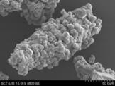 Imatge de microscopia d'escombratge del material hbrid format per una xarxa metalloorgnica i un carb pors. La imatge de microscopia d'escombratge es va realitzar als Serveis Cientificotcnics pel Dr. Ferran Hierro