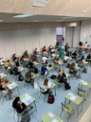 07/07/2020 Punt d'examen: Auditori de Peguera - Foto: F.Leguizano/UIB