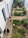 07/07/2020 Punt d'examen: Fbrica Ramis d'Inca 