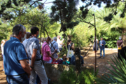 IMG_3018.jpeg