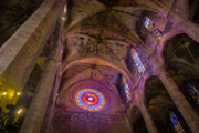 Una recerca de la UIB resol el trencaclosques constructiu de la catedral de Mallorca - Foto: A.Costa/UIB