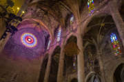 Una recerca de la UIB resol el trencaclosques constructiu de la catedral de Mallorca - Foto: A.Costa/UIB