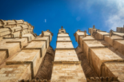 Una recerca de la UIB resol el trencaclosques constructiu de la catedral de Mallorca - Foto: A.Costa/UIB