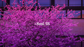 Baner-16.9_8M_2021.jpg